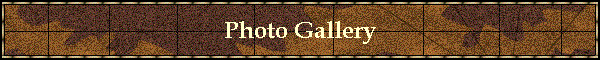 Photo Gallery