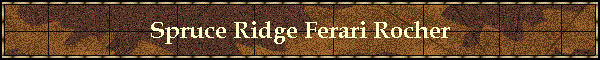 Spruce Ridge Ferari Rocher