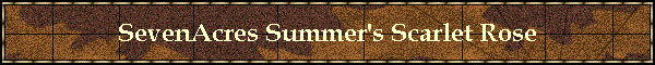 SevenAcres Summer's Scarlet Rose