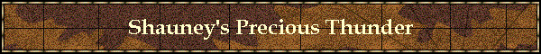 Shauney's Precious Thunder